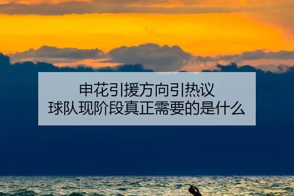 申花引援方向引热议 球队现阶段真正需要的是什么 | manguantiyu